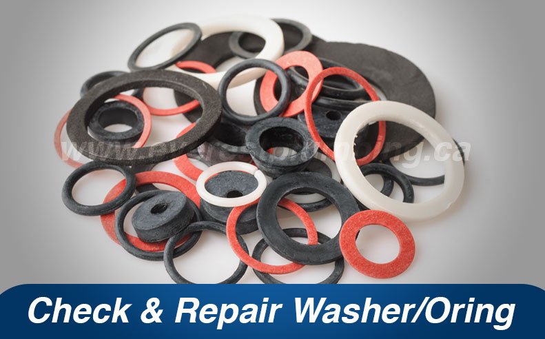 repair or replace shower head washer and oring if its worn 