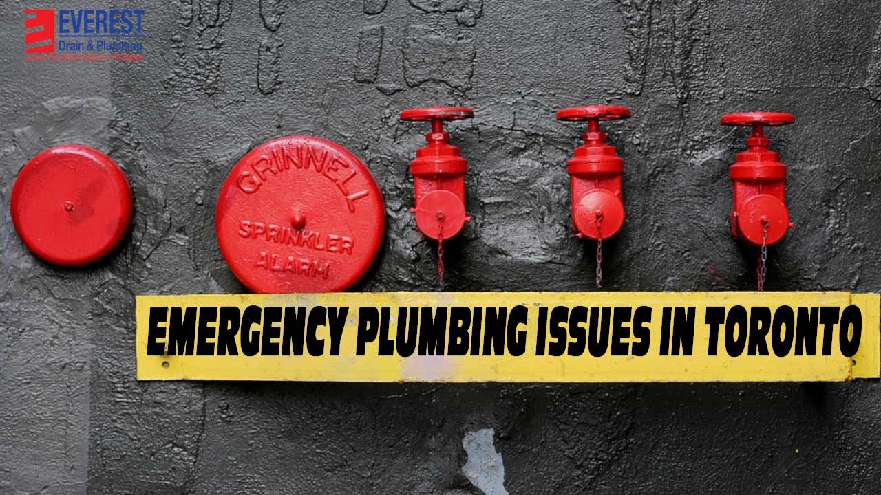 emergency plumbing management in toronto