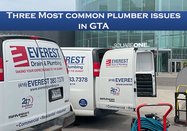 list of common problem faced by Toronto people