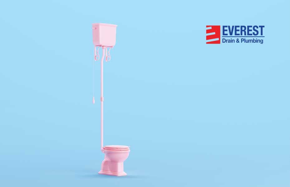 Let’s hear the Common Toilet Issues