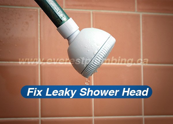 Fix Your Leaking Shower Head: A Step-by-Step Guide