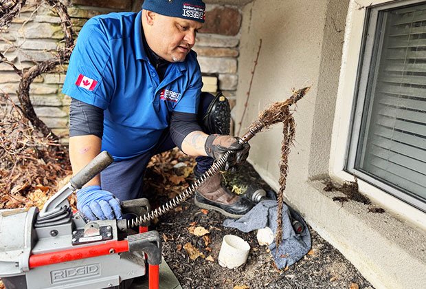 root drain clearing in home of markham 