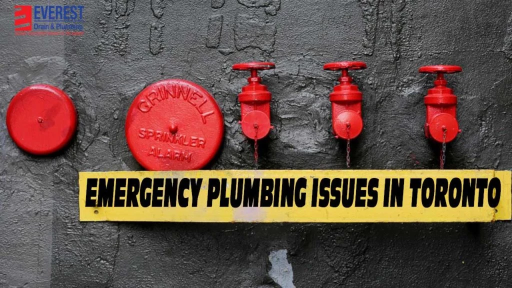 emergency plumbing management in toronto