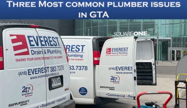 list of common problem faced by Toronto people