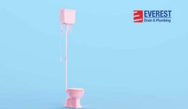 Let’s hear the Common Toilet Issues