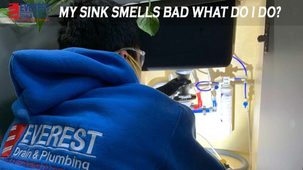 bad smell under sink and in base cabinets