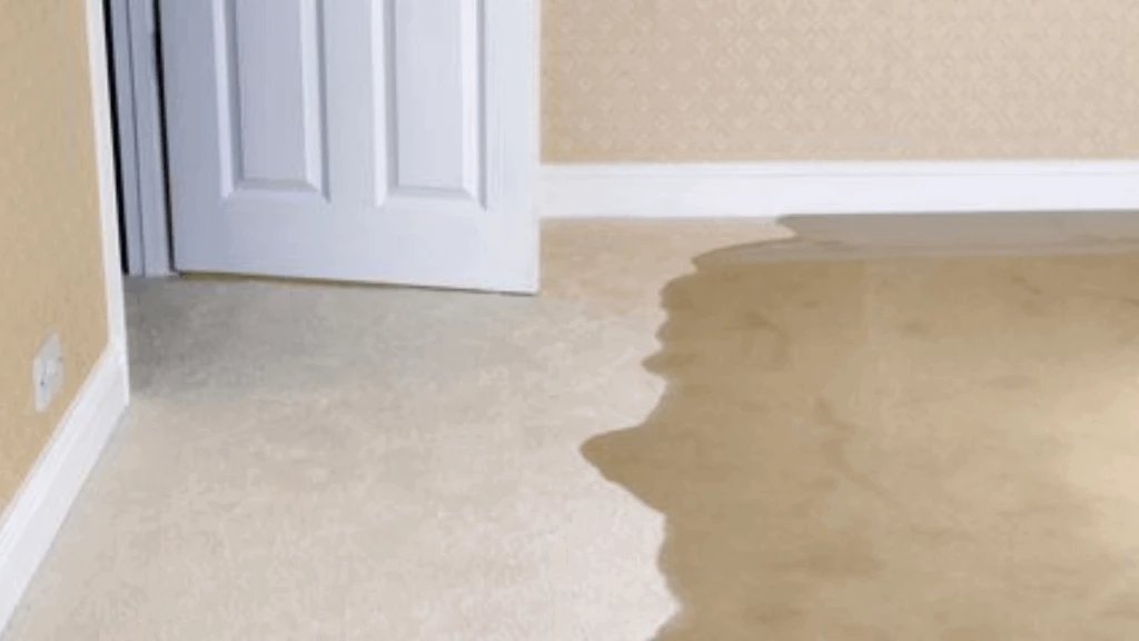 basement flooding
