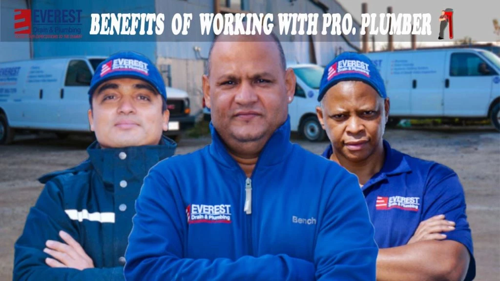 working with professional plumbing technician