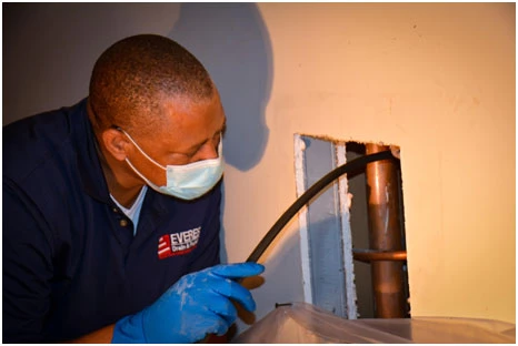 drain cleaning services for commercial sector