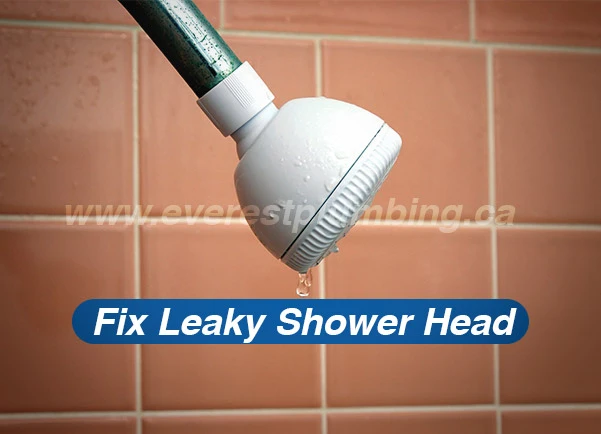 Fix Your Leaking Shower Head: A Step-by-Step Guide